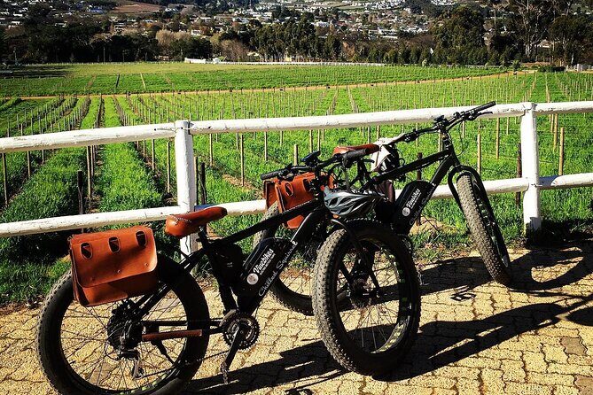 Franschhoek E-Bike Wine Tour (Half Day) - Wine farms in the Franschhoek valley: how the tastings work (and why it’s good)