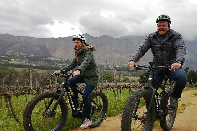 Franschhoek E-Bike Wine Tour (Half Day) - What’s included for $69.26: the value math you actually care about