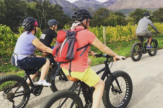 Franschhoek E-Bike Wine Tour (Half Day) - The guide makes the day: small-group attention you’ll feel