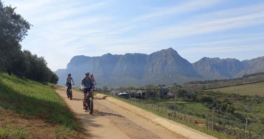Franschhoek: E-Bike & Wine Tour (Shared Tour) - Should You Book the Franschhoek E-Bike & Wine Tour?