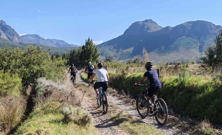 Franschhoek: E-Bike & Wine Tour (Shared Tour) - Why a Franschhoek E-Bike Beats a Long Wine Bus Day