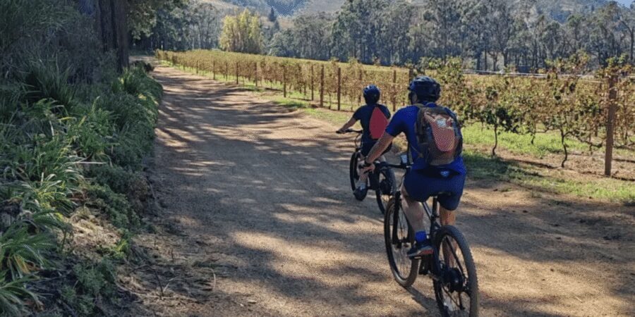 Franschhoek: E-Bike & Wine Tour (Shared Tour) - Wine Estate Stops: How to Make the Tastings Worth Your Time