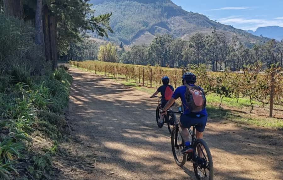 Franschhoek: E-Bike & Wine Tour (Shared Tour) - Old Cellars and Modern Production: The Winery Story You Can Actually Follow