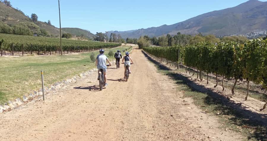 Franschhoek: E-Bike & Wine Tour (Shared Tour) - What You’re Paying For: Value at $108 per Person