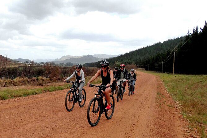 Franschhoek Half Day Winelands Mountain Bike Tour - Key Highlights You’ll Actually Feel on the Ride