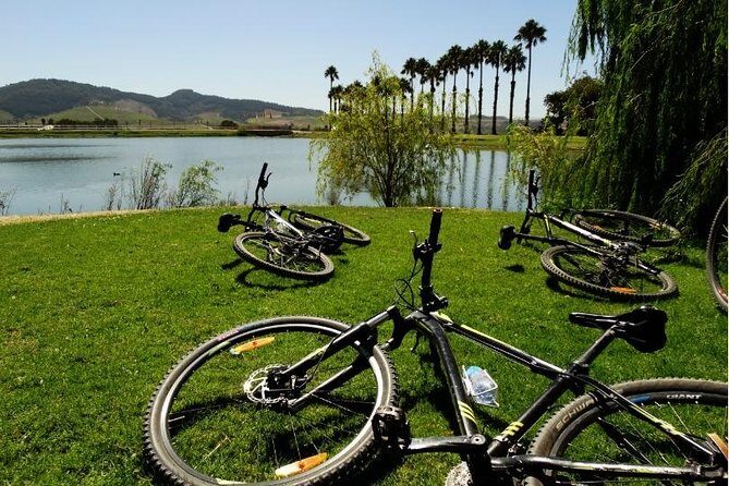 Franschhoek Half Day Winelands Mountain Bike Tour - Pedal Power in the Franschhoek Winelands