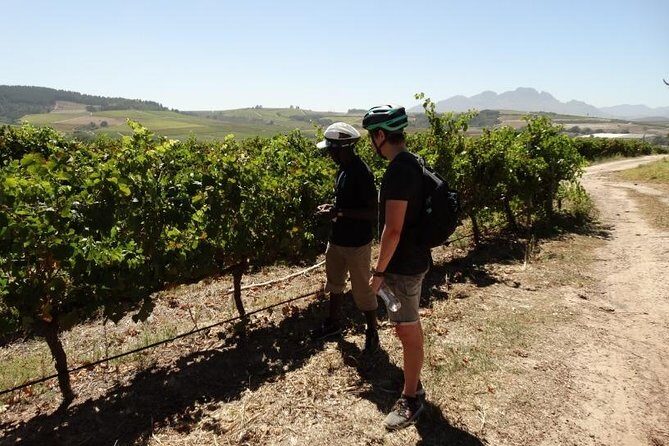 Franschhoek Half Day Winelands Mountain Bike Tour - Timing, Meeting Point, and How the Half-Day Works