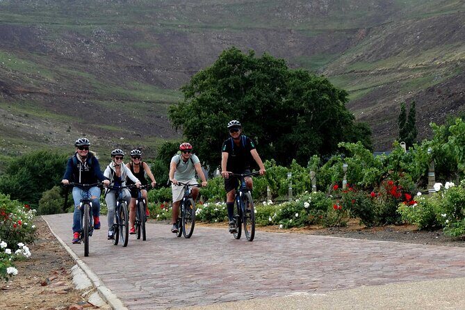 Franschhoek Half Day Winelands Mountain Bike Tour - The Pairing Lesson: Chocolate or Biltong With South African Wine