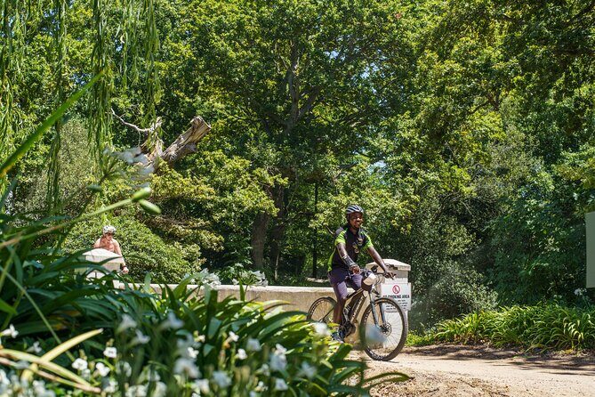 Franschhoek Half Day Winelands Mountain Bike Tour - Off-Road Terrain: What Challenging Actually Means