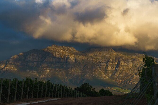 Franschhoek Half Day Winelands Mountain Bike Tour - What the Guide Adds: Keegan and L.A.’s Impact