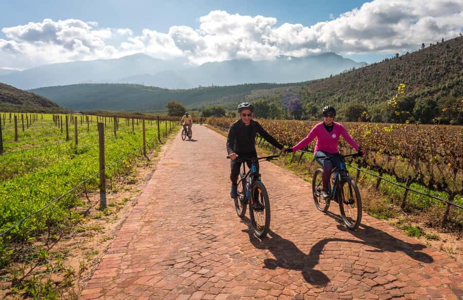 Franschhoek: Private E-bike Ride & Wine Experience - Price and Logistics: What You’re Paying For