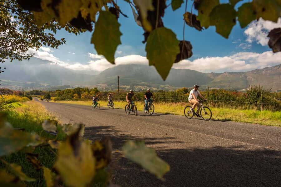 Franschhoek: Private E-bike Ride & Wine Experience - Grand Provence Estate Tasting: Art, Bronze, and First Pour