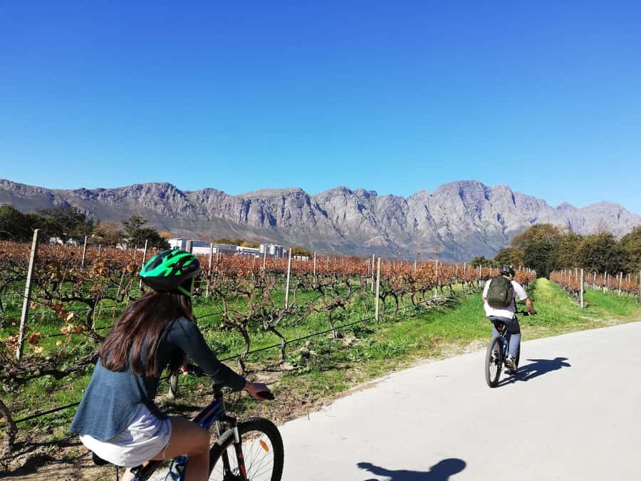 Franschhoek: Private E-bike Ride & Wine Experience - La Bri Estate Wine Pairing: Bordeaux-Style Blends and a Guided Match