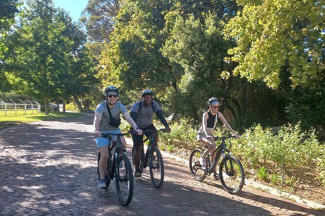 Franschhoek Shared E-Bike and Wine Tour - Key highlights you’ll feel on day-of