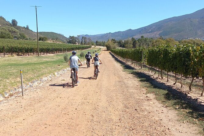 Franschhoek Shared E-Bike and Wine Tour - Why an e-bike wine tour in Franschhoek makes sense