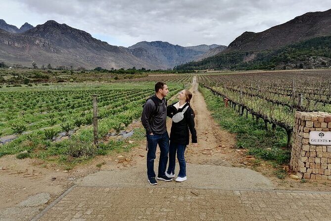 Franschhoek Shared E-Bike and Wine Tour - The ride: 15–20 km through vineyards without traffic stress