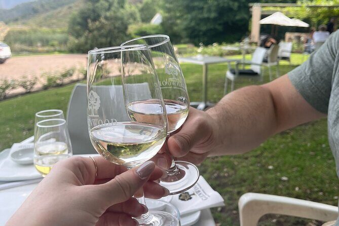 Franschhoek Shared E-Bike and Wine Tour - Getting set up at 9 Fabriek Street (and your exact meeting point)