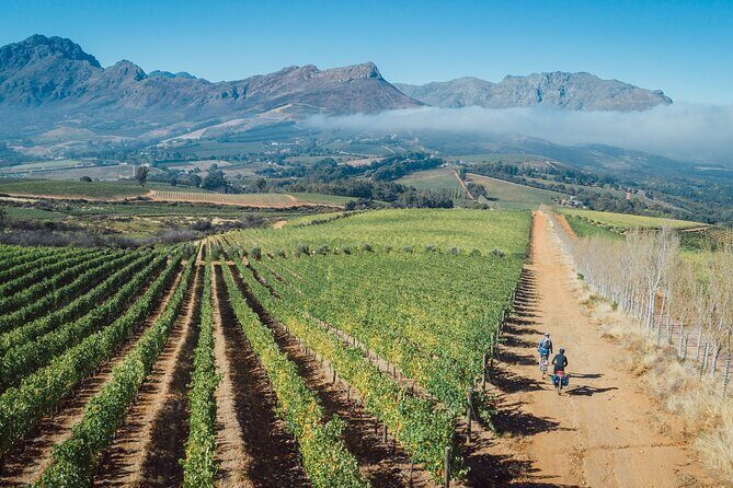 Franschhoek Sip & Cycle Experience Full Day - Private Tour - Support Vehicle and Route Flexibility: Comfort for Different Riding Styles
