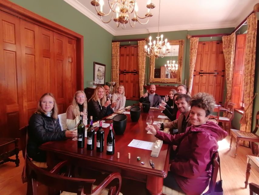 Franschhoek & Stellenbosch: Full-Day Wine Tour - Key points you’ll care about