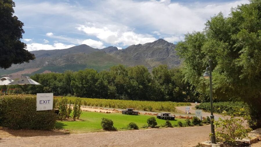 Franschhoek & Stellenbosch: Full-Day Wine Tour - Stellenbosch and Franschhoek, stitched into one satisfying day