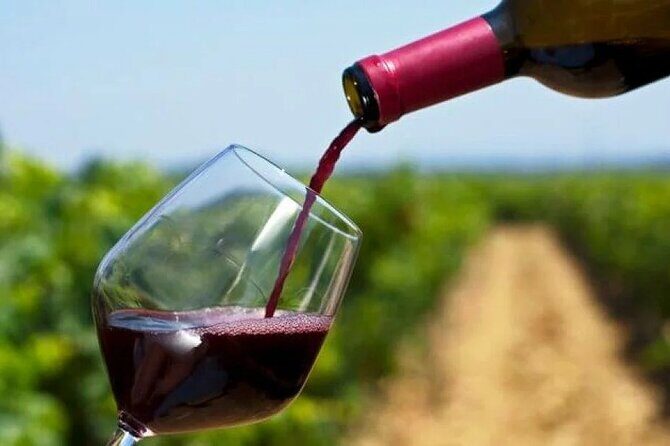 Franschhoek Wine Tram Hop On Hop Off Tour - Price and value: what you’re paying for at $121.15