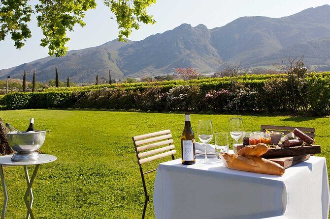 Franschhoek Wine Tram Hop On Hop Off Tour - Who should book this Wine Tram day—and who might not