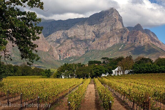 Franschhoek Wine Tram Hop-On Hop-Off Tour from Cape Town. - Getting there: Cape Town CBD pickup and a relaxed ride to Franschhoek