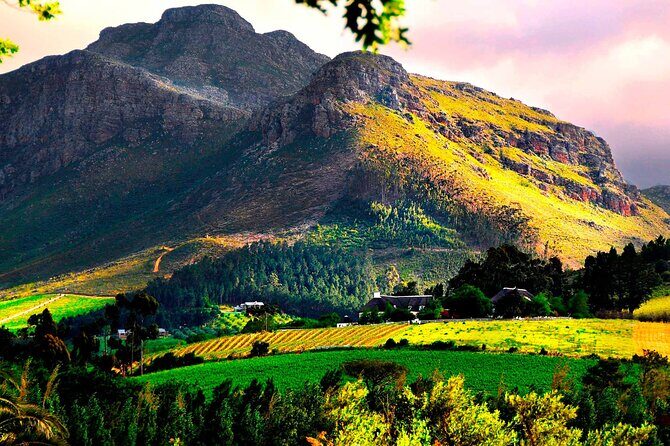 Franschhoek Wine Tram Hop-On Hop-Off Tour from Cape Town. - What the best day looks like for couples, friends, and families