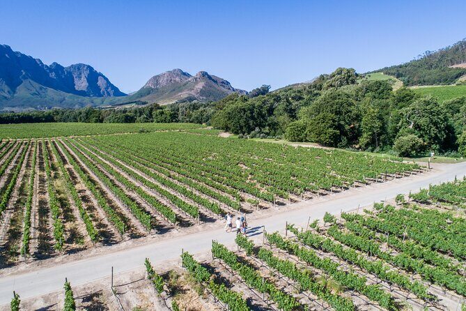 Franschhoek Wine Walk with Lunch - Walking through Franschhoek: town history before the wine