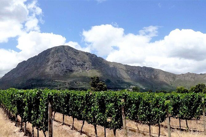 Franschhoek Winelands Luxury EBike Tour - Key Things to Know Before You Go