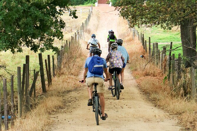 Franschhoek Winelands Luxury EBike Tour - The Huguenot Monument Stop: Culture Between Tastings