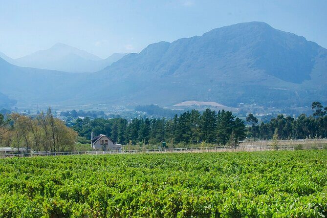 Franschhoek Winelands Luxury EBike Tour - Lunch, Pairing Snacks, and the Cellar Tour Moment