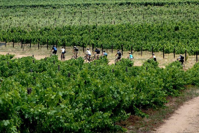 Franschhoek Winelands Luxury EBike Tour - Meeting at Rickety Bridge: Easy Start, Clear Endpoint