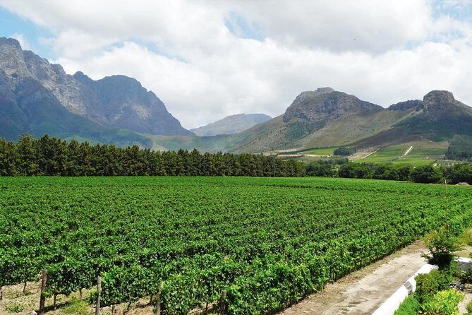 Franschhoek Winelands Meander © - Key points to know before you book