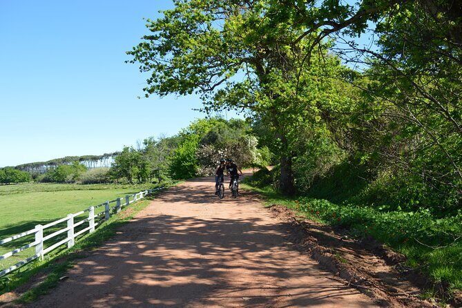 Franschhoek Winelands Meander © - Wine tastings, pairings, and how the day stays fun