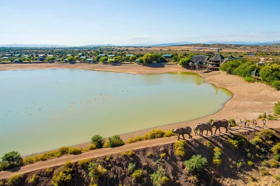 From Cape Town: 3-Day Garden Route Highlights and 4x4 Safari - Route 62 and Cango Caves: Karoo to Limestone, in One Breath