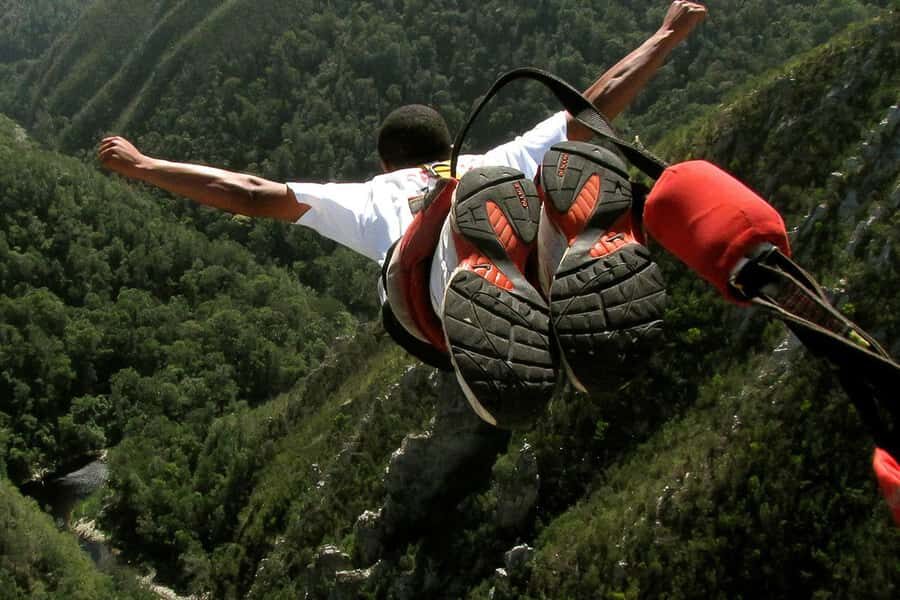 From Cape Town: 3-Day Garden Route Highlights and 4x4 Safari - Price and Logistics: What $417 Buys You (and Where It Can Cost More)