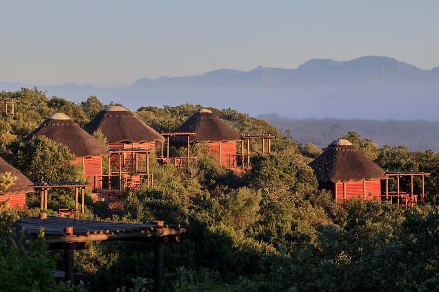 From Cape Town: 3-Day Garden Route Safari and Coastal Tour - Key Highlights You’ll Care About