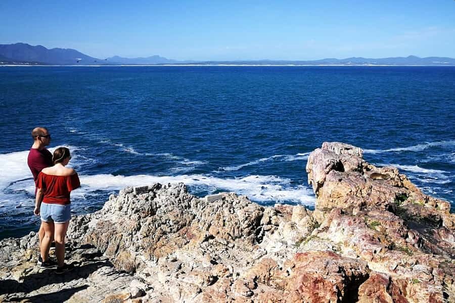From Cape Town: 3-Day Garden Route Safari and Coastal Tour - Who This 3-Day Safari and Coastal Tour Is Best For