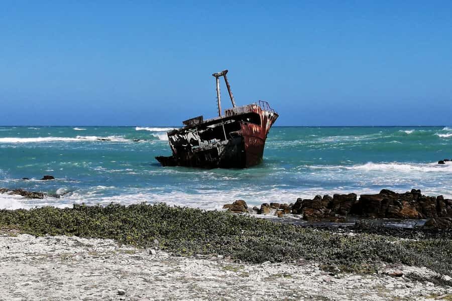From Cape Town: 3-Day Garden Route Safari and Coastal Tour - Two Game Drives: How to Get the Best Chances Without Burnout