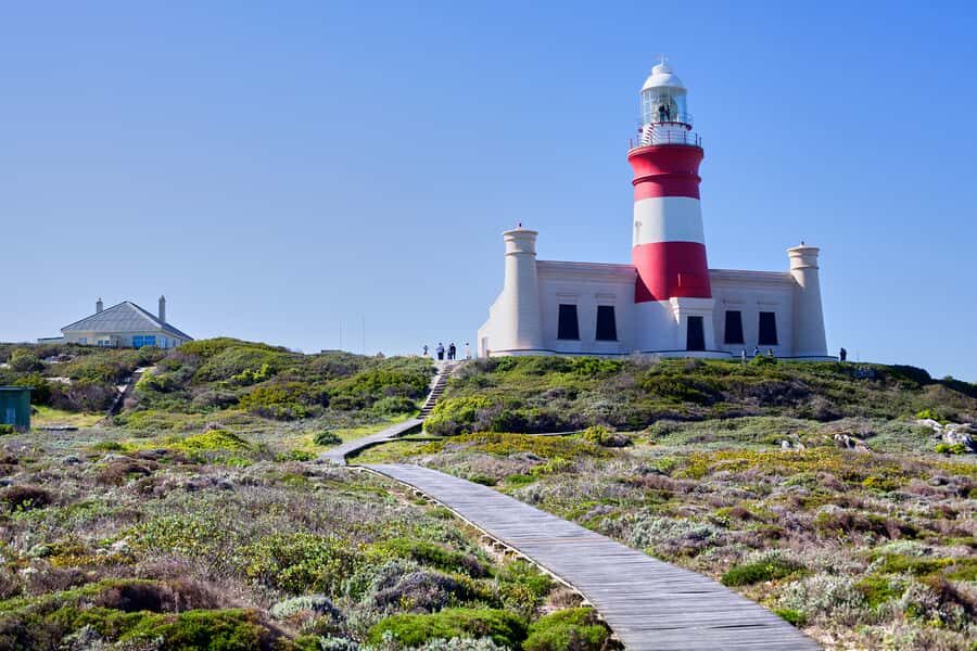 From Cape Town: 3-Day Garden Route Safari and Coastal Tour - Price and Value: What $720 Covers (and Why It Makes Sense)