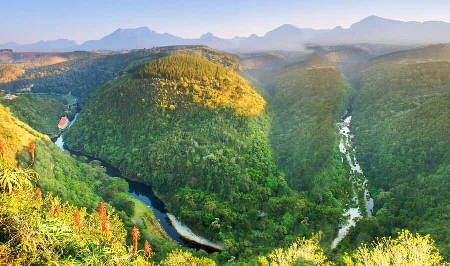 From Cape Town: 5-Day Best of Garden Route and Addo Safari - Jeffreys Bay free time: beach reset plus optional surf or horseback