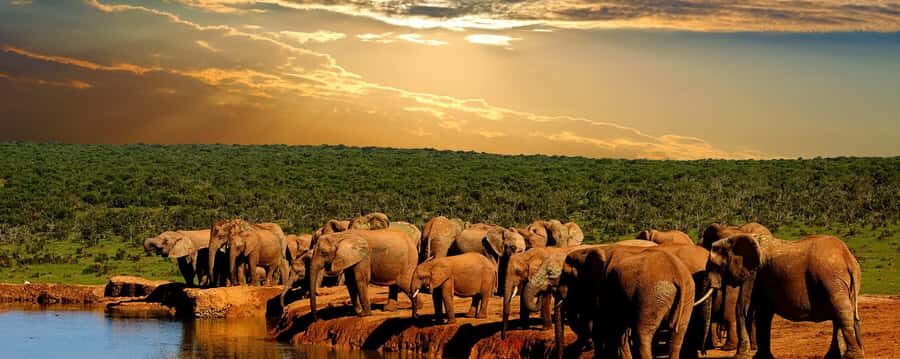 From Cape Town: 5-Day Garden Route & Addo Elephant Park Tour - Key highlights you should circle first