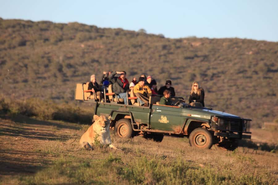 From Cape Town: 5-Day Garden Route & Addo Elephant Park Tour - Why this Garden Route + Addo plan makes sense