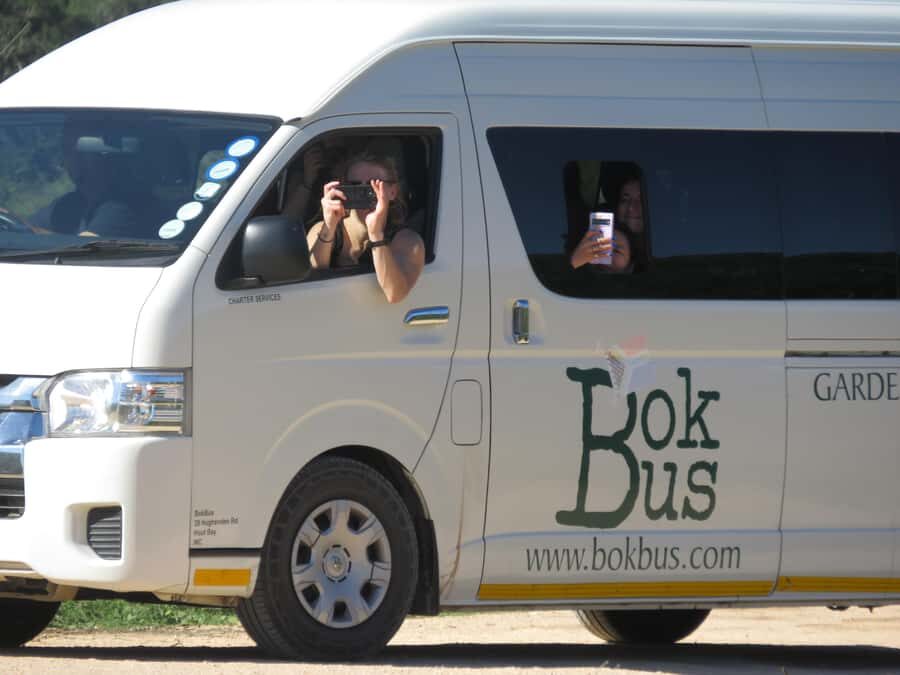 From Cape Town: 5-Day Garden Route & Addo Elephant Park Tour - Day 3: Tsitsikamma hanging bridge walk, then Addo’s elephant herds