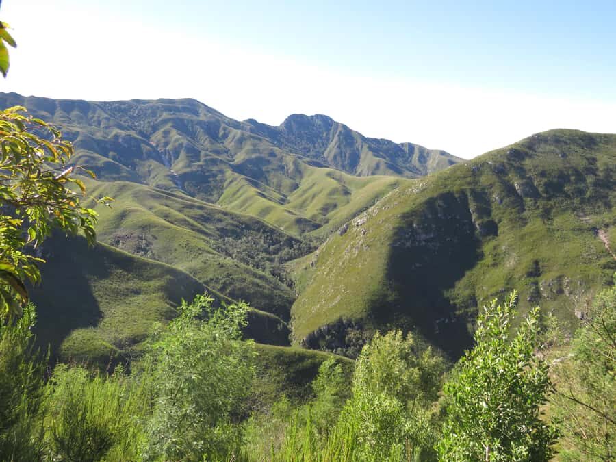 From Cape Town: 5-Day Garden Route & Addo Elephant Park Tour - Day 5: Early-morning game drive, Hermanus whales, and the return via False Bay