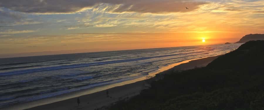 From Cape Town: 7-Day Garden Route, Addo and Winelands Combo - Key things I’d pay attention to