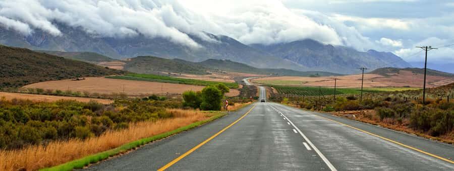 From Cape Town: 7-Day Garden Route, Addo and Winelands Combo - Oudtshoorn and Cango Caves plus Route 62 quirks