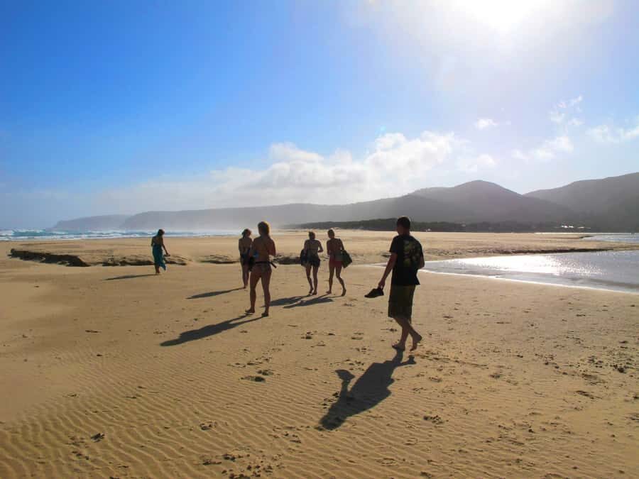 From Cape Town: 7-Day Garden Route, Addo and Winelands Combo - Jeffrey’s Bay and Wilderness: beach reset and Tsitsikamma options