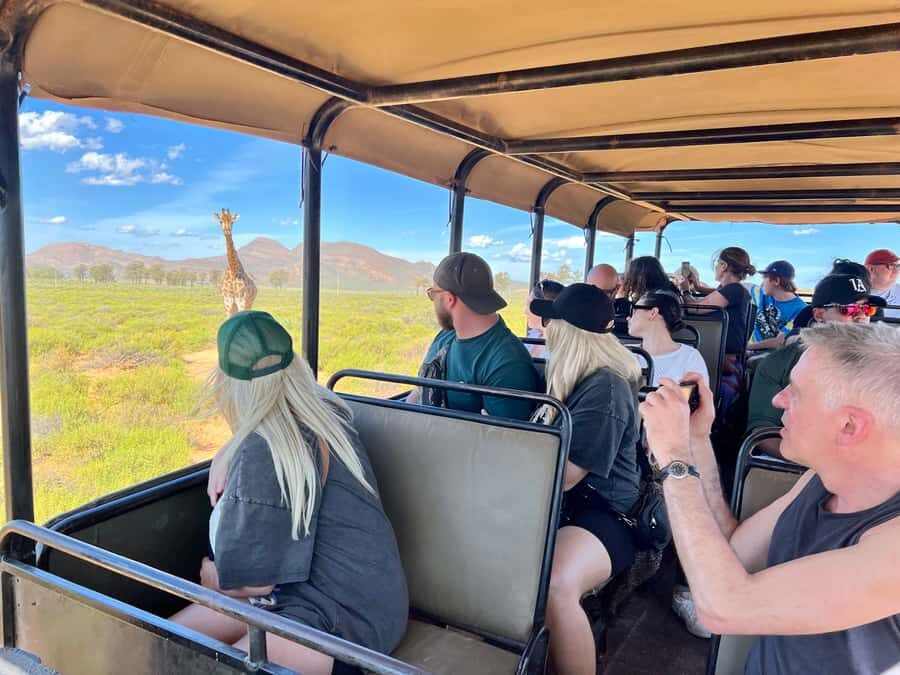 From Cape Town: Big Five Safari Experience with Lunch - Group size, comfort, and the truck setup
